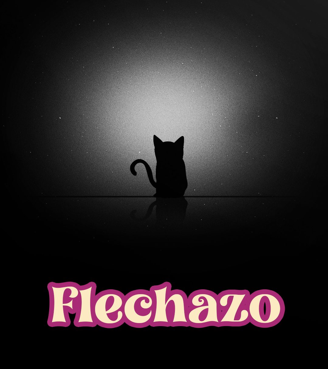 Flechazo